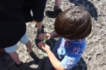 resIMG_20160402_143051_5871.JPG